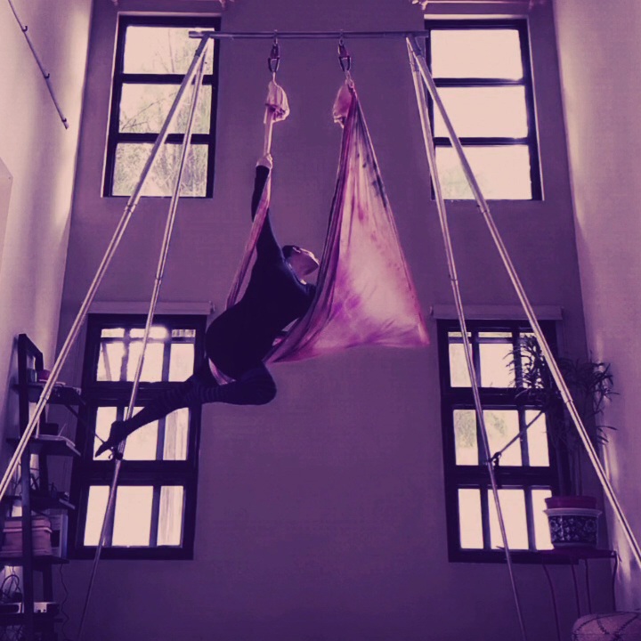 Aerial Hammock Silhouette