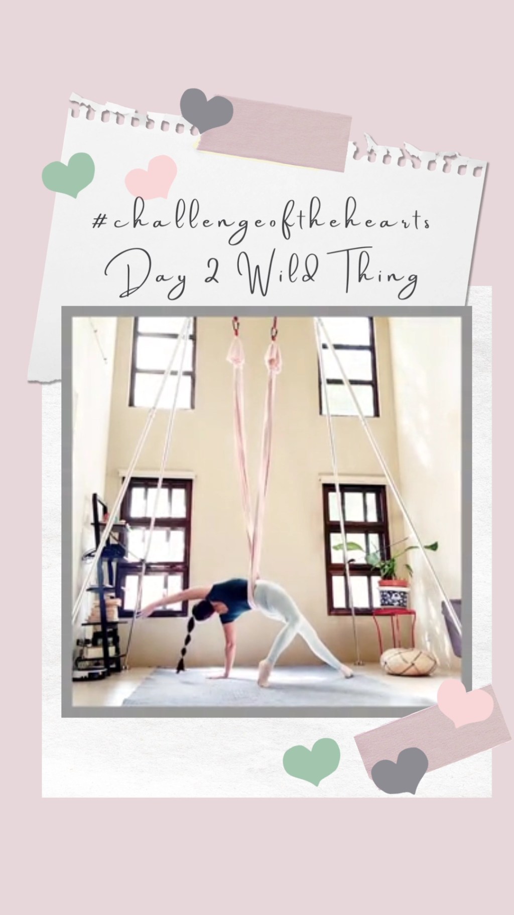 Aerial Yoga Wild Thing