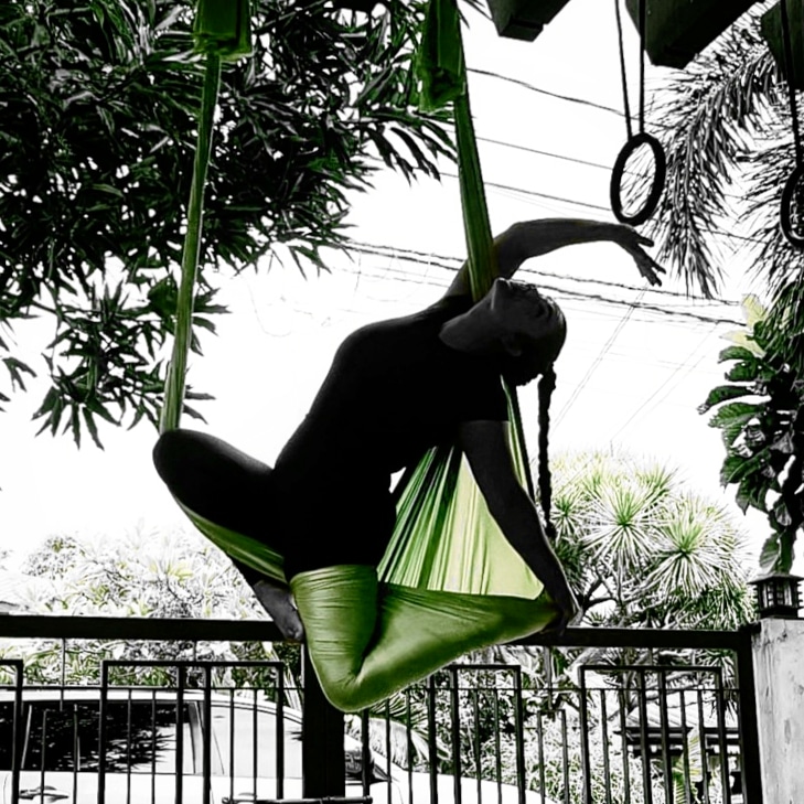 aerial yoga seahorse