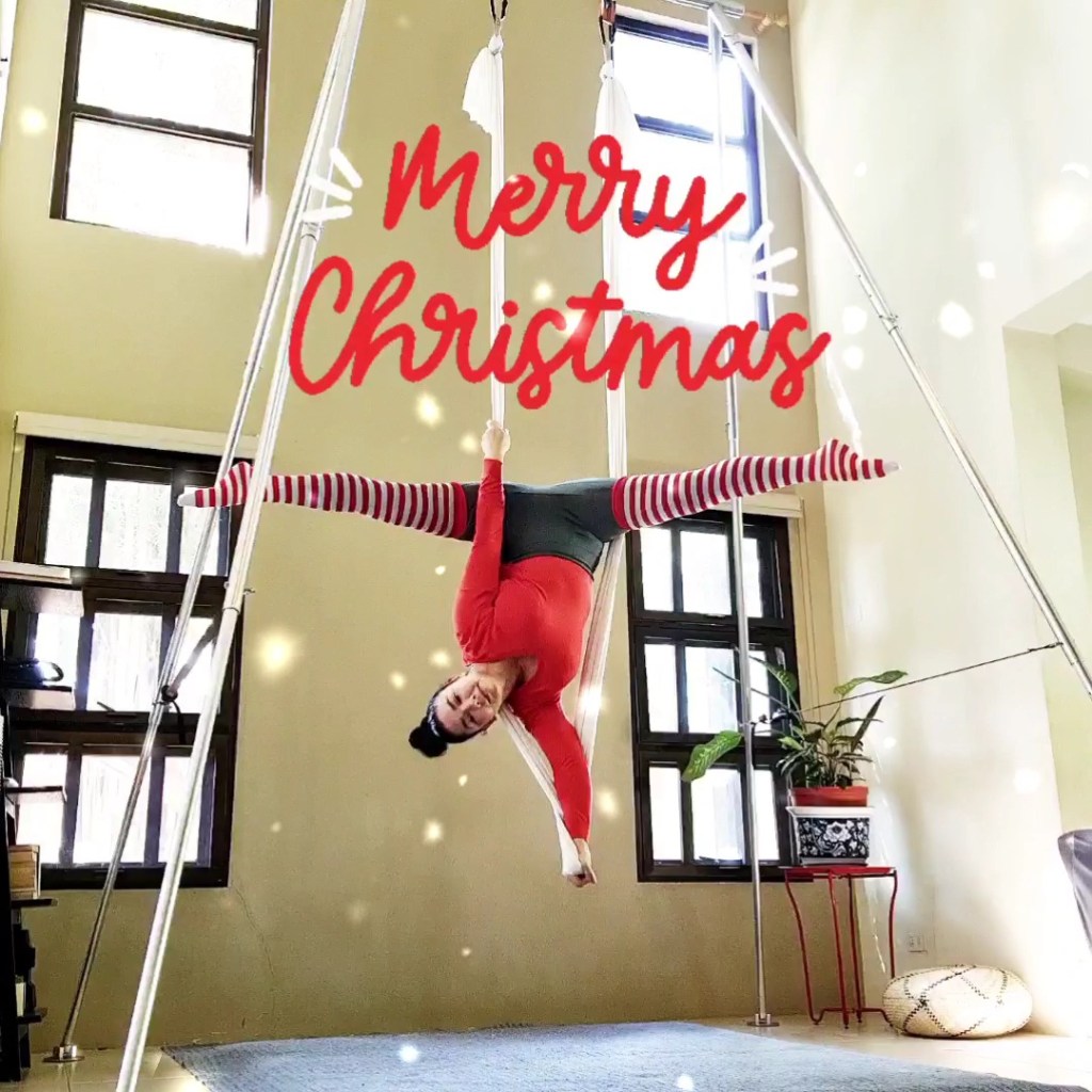 Aerial Hammock Handstand