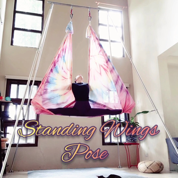 AERIAL YOGA STANDING WINGS&nbsp;POSE